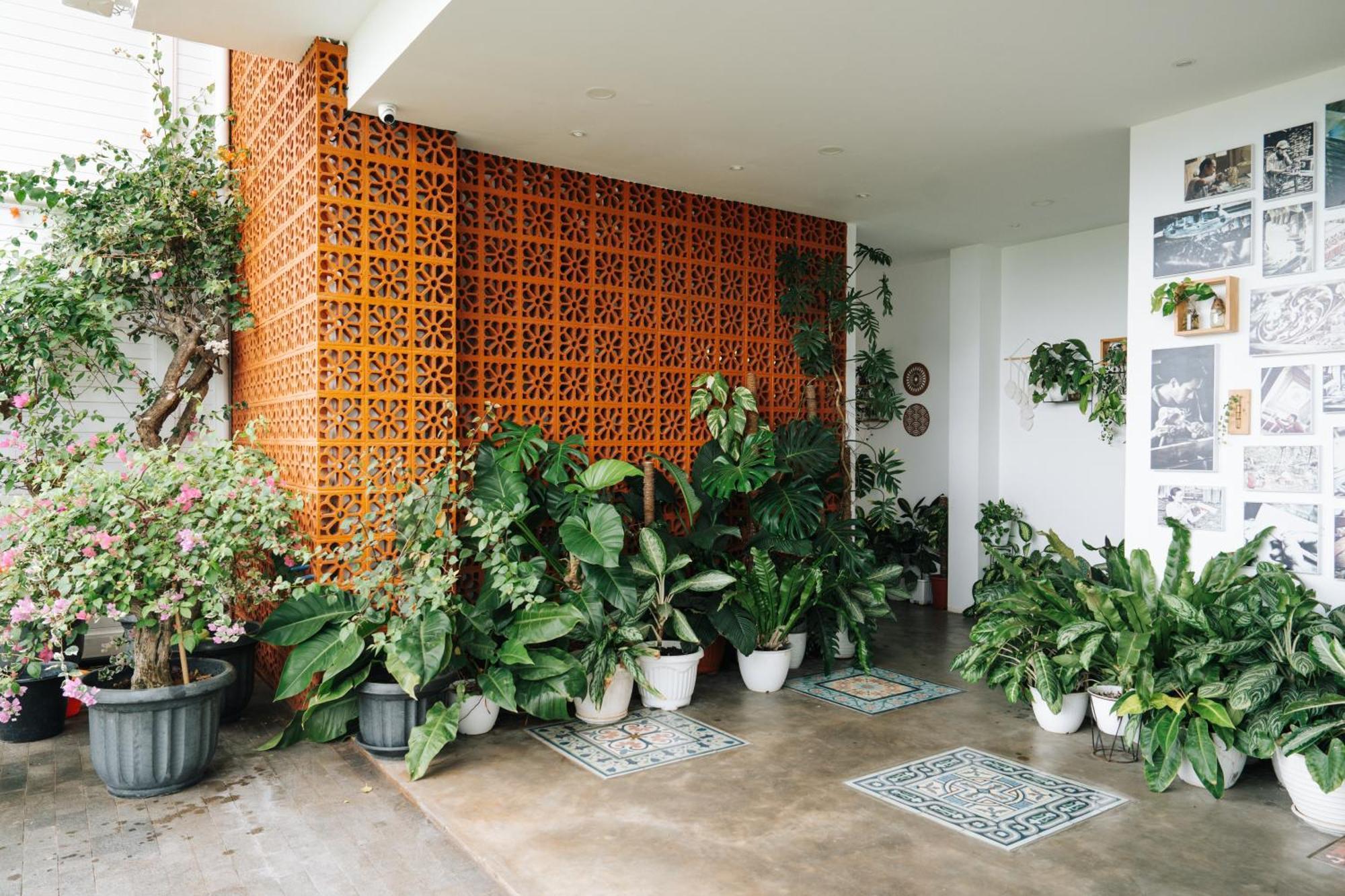 Mambo Hill Resort Ped Extérieur photo